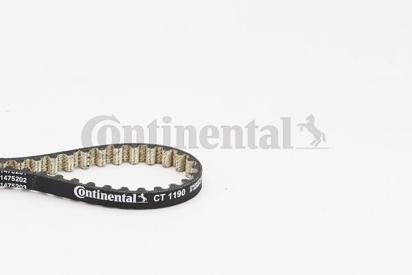 Timing Belt